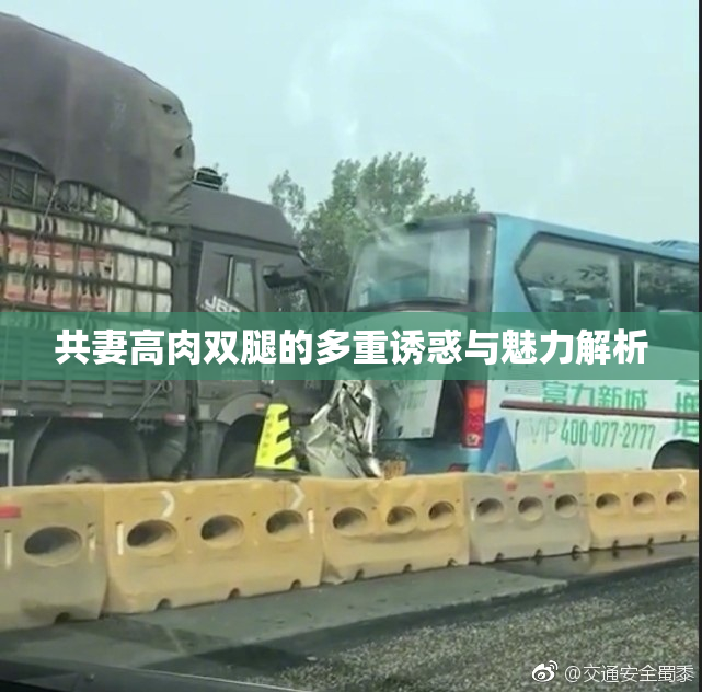 共妻高肉双腿的多重诱惑与魅力解析