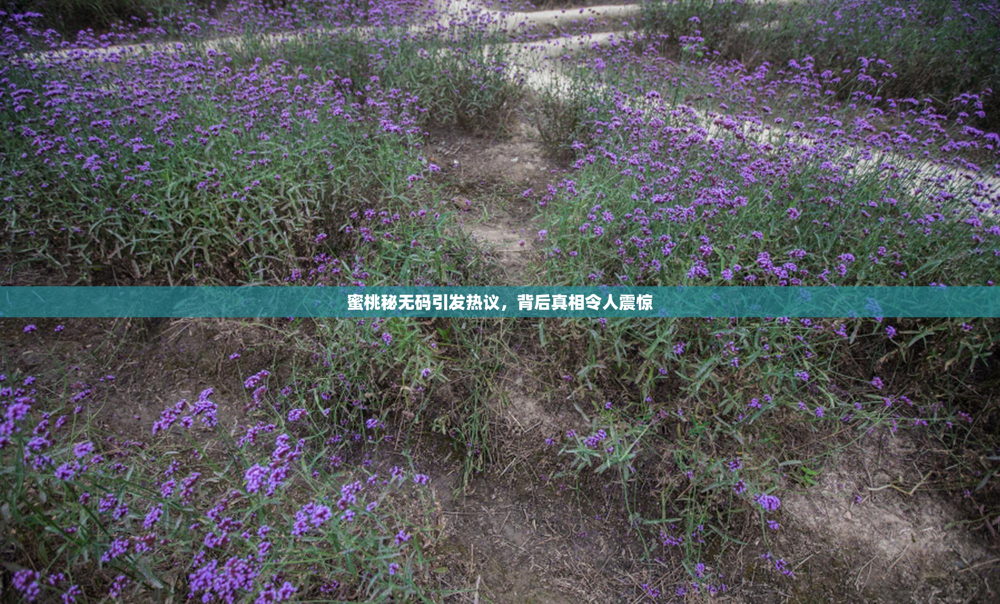 蜜桃秘无码引发热议，背后真相令人震惊