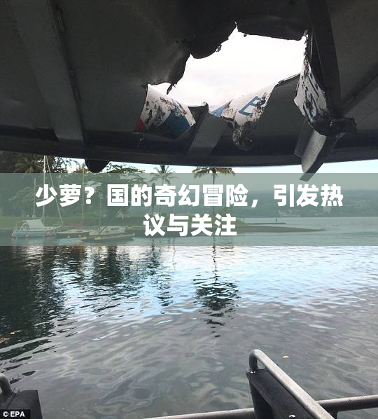 少萝？国的奇幻冒险，引发热议与关注