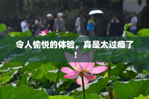 令人愉悦的体验，真是太过瘾了！