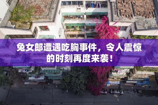 兔女郎遭遇吃胸事件，令人震惊的时刻再度来袭！