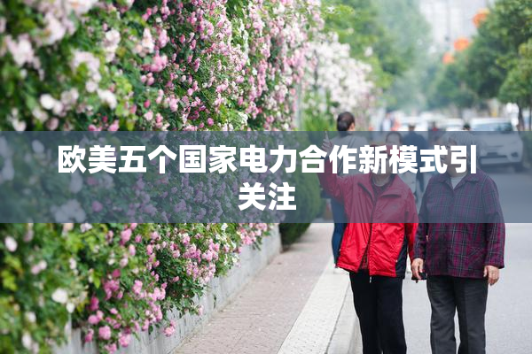 欧美五个国家电力合作新模式引关注