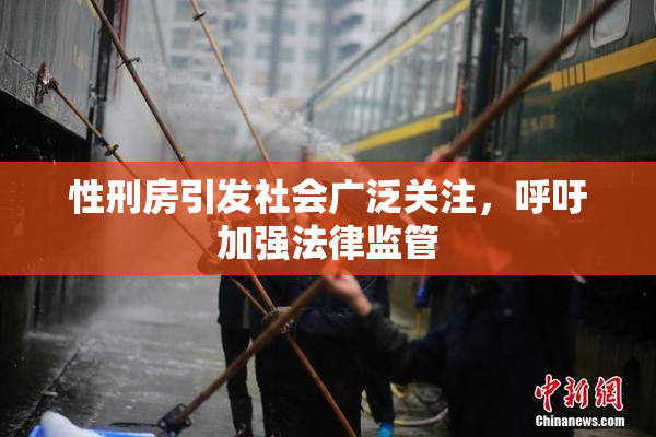 性刑房引发社会广泛关注，呼吁加强法律监管