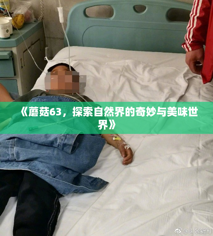 《蘑菇63，探索自然界的奇妙与美味世界》