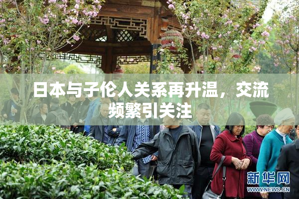 日本与子伦人关系再升温，交流频繁引关注