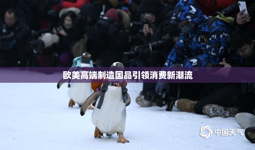 欧美高端制造国品引领消费新潮流