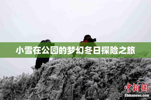 小雪在公园的梦幻冬日探险之旅