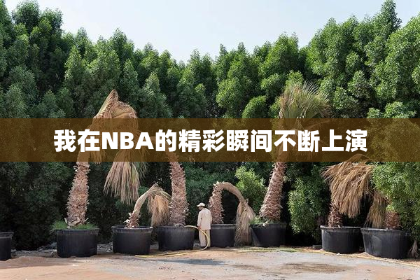 我在NBA的精彩瞬间不断上演