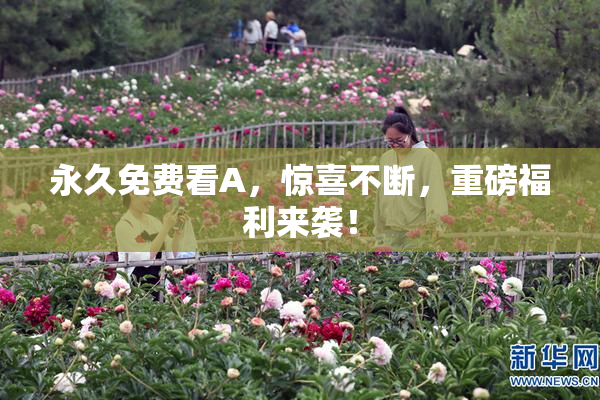 永久免费看A，惊喜不断，重磅福利来袭！