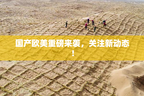 国产欧美重磅来袭，关注新动态！