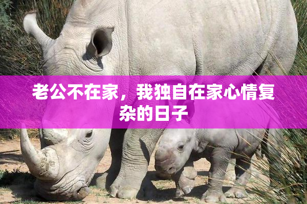 老公不在家，我独自在家心情复杂的日子