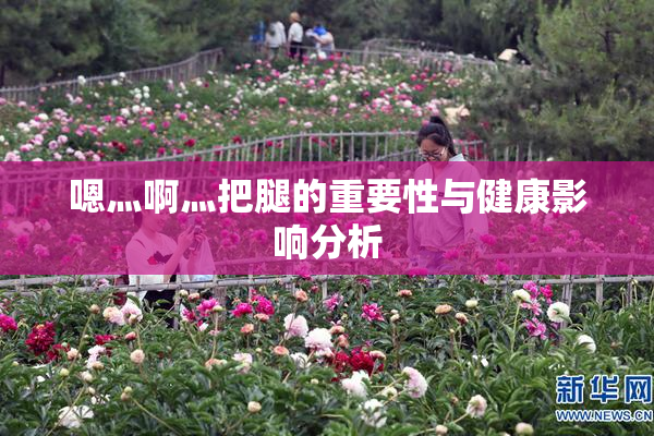 嗯灬啊灬把腿的重要性与健康影响分析