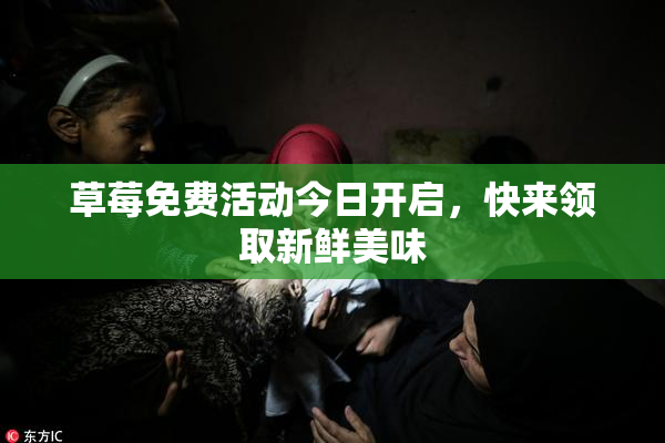 草莓免费活动今日开启，快来领取新鲜美味