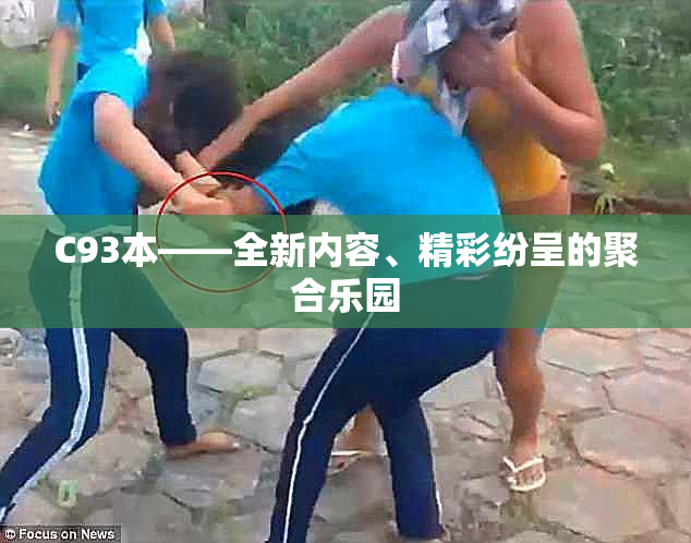 C93本——全新内容、精彩纷呈的聚合乐园
