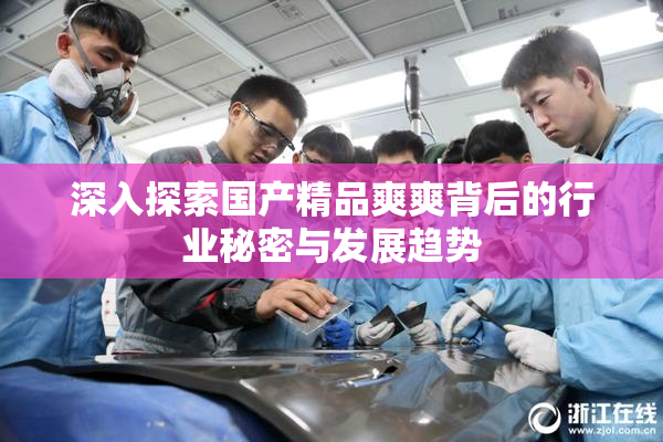 深入探索国产精品爽爽背后的行业秘密与发展趋势