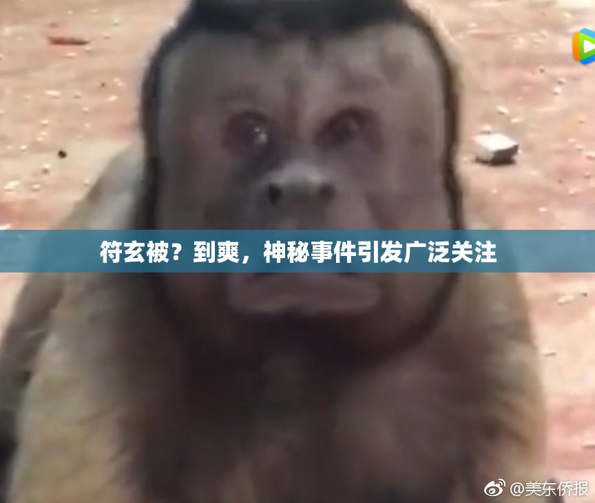 符玄被？到爽，神秘事件引发广泛关注
