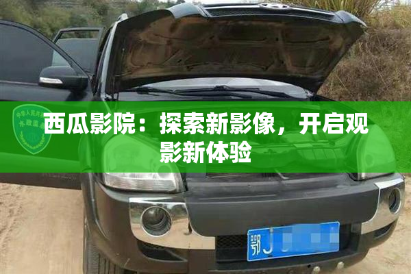 西瓜影院：探索新影像，开启观影新体验