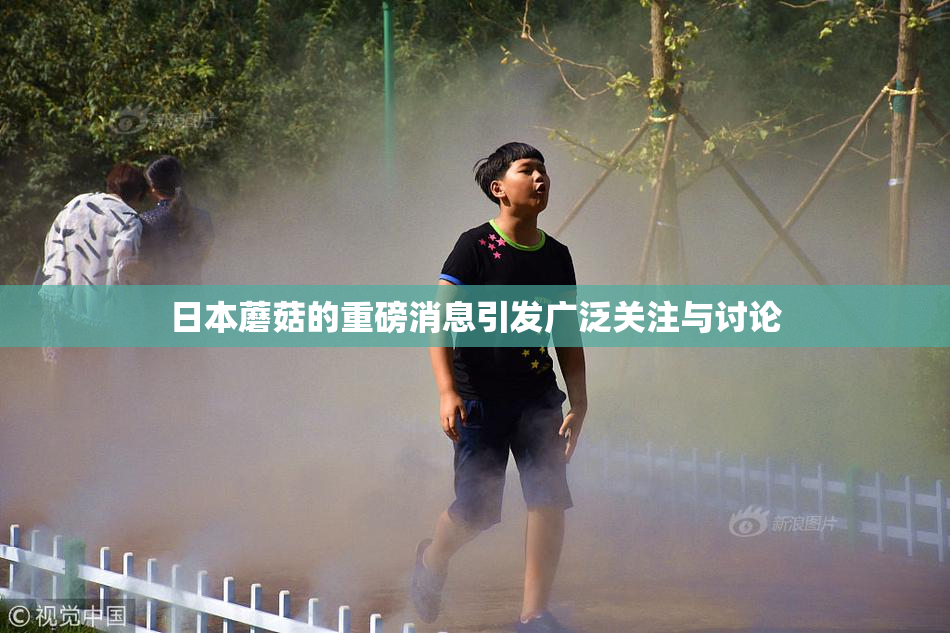 日本蘑菇的重磅消息引发广泛关注与讨论