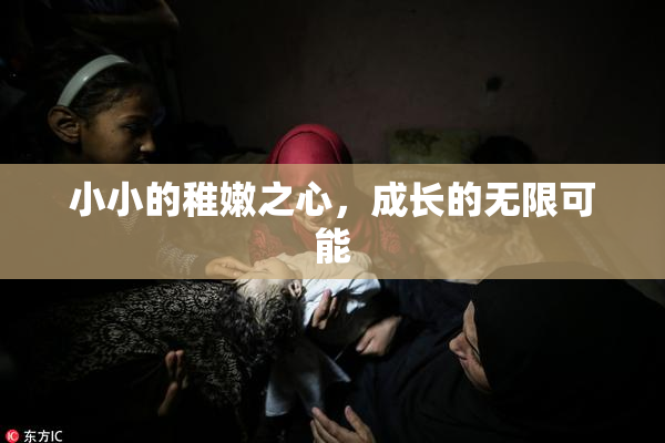 小小的稚嫩之心，成长的无限可能
