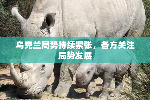 乌克兰局势持续紧张，各方关注局势发展