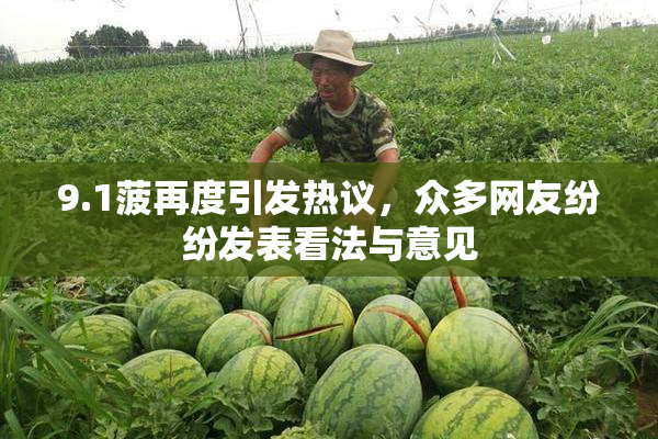 9.1菠再度引发热议，众多网友纷纷发表看法与意见