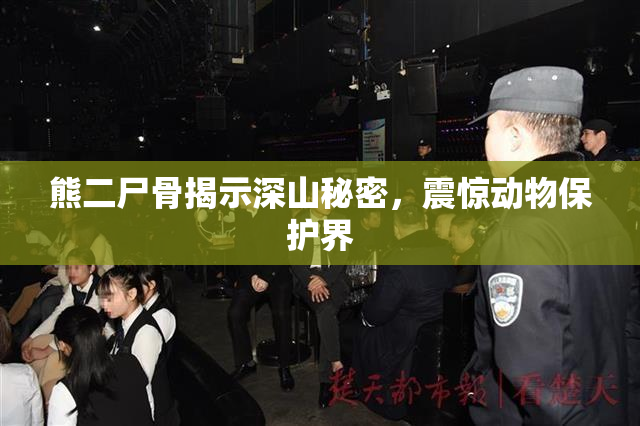 熊二尸骨揭示深山秘密，震惊动物保护界