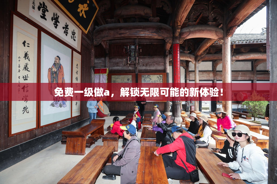 免费一级做a，解锁无限可能的新体验！