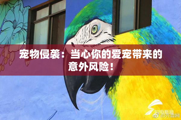 宠物侵袭：当心你的爱宠带来的意外风险！