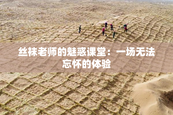丝袜老师的魅惑课堂：一场无法忘怀的体验