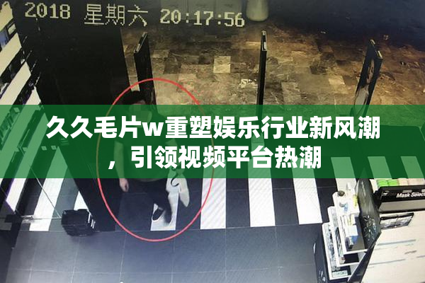 久久毛片w重塑娱乐行业新风潮，引领视频平台热潮