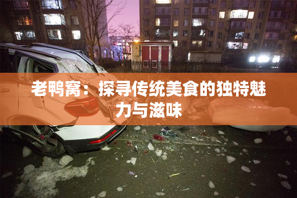 老鸭窝：探寻传统美食的独特魅力与滋味