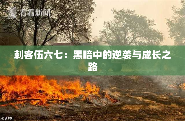 刺客伍六七：黑暗中的逆袭与成长之路