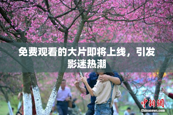 免费观看的大片即将上线，引发影迷热潮