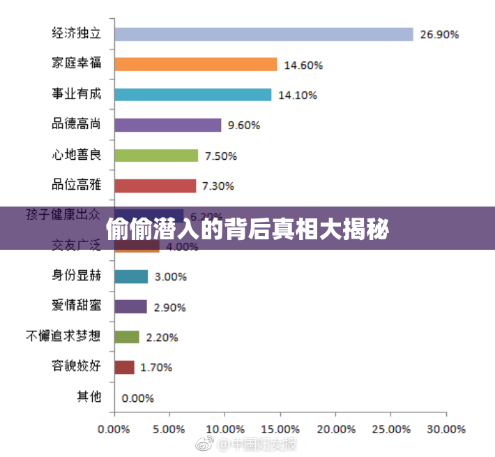 偷偷潜入的背后真相大揭秘