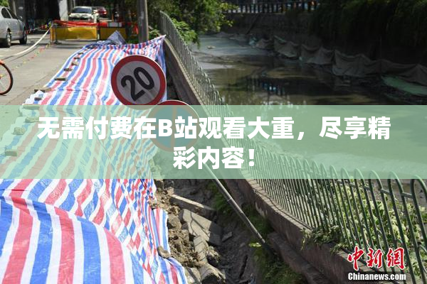 无需付费在B站观看大重，尽享精彩内容！