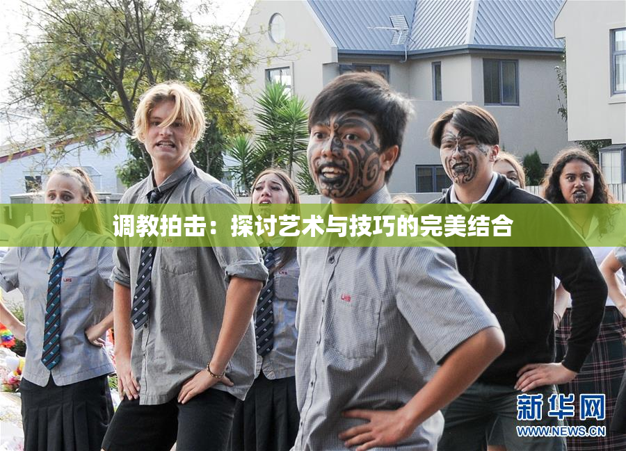 调教拍击：探讨艺术与技巧的完美结合