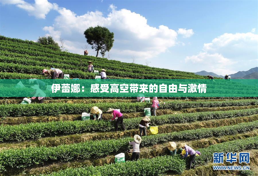 伊蕾娜：感受高空带来的自由与激情