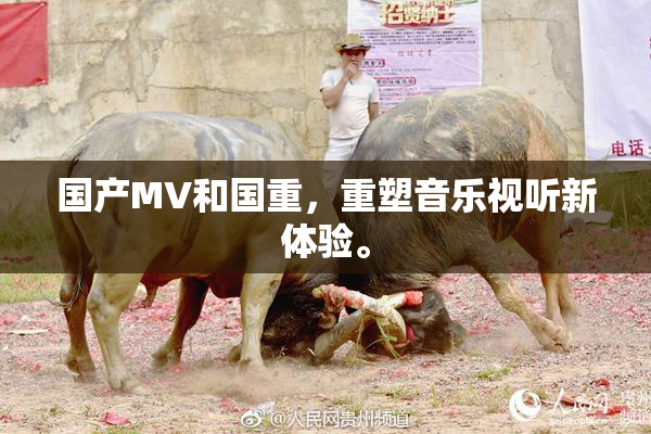 国产MV和国重，重塑音乐视听新体验。