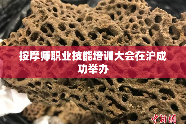 按摩师职业技能培训大会在沪成功举办