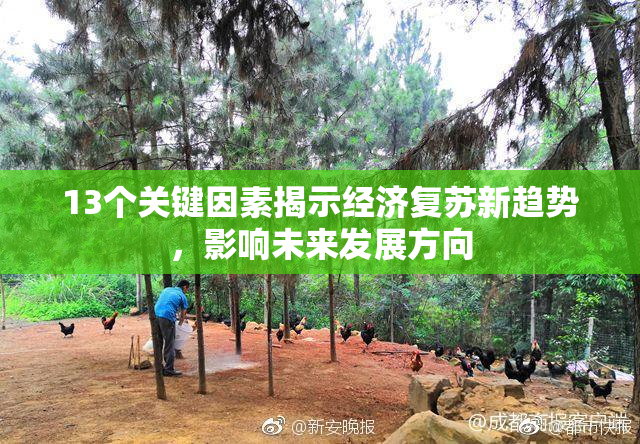 13个关键因素揭示经济复苏新趋势，影响未来发展方向