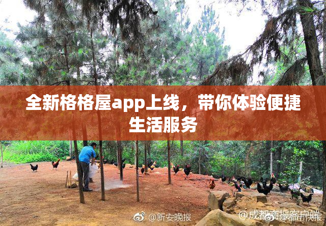 全新格格屋app上线，带你体验便捷生活服务