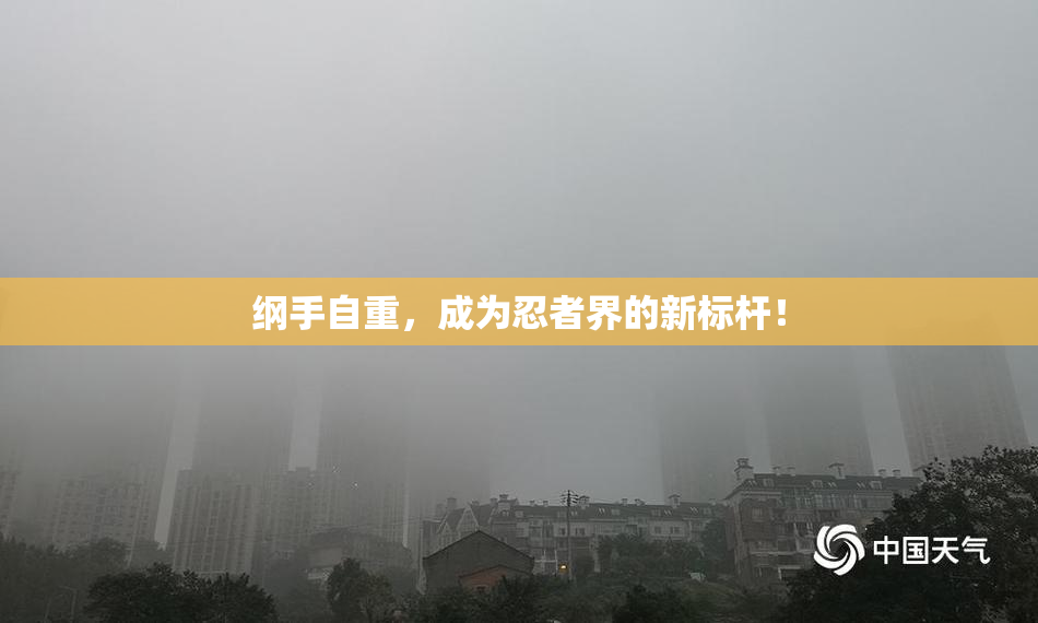 纲手自重，成为忍者界的新标杆！