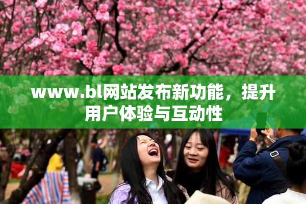 www.bl网站发布新功能，提升用户体验与互动性