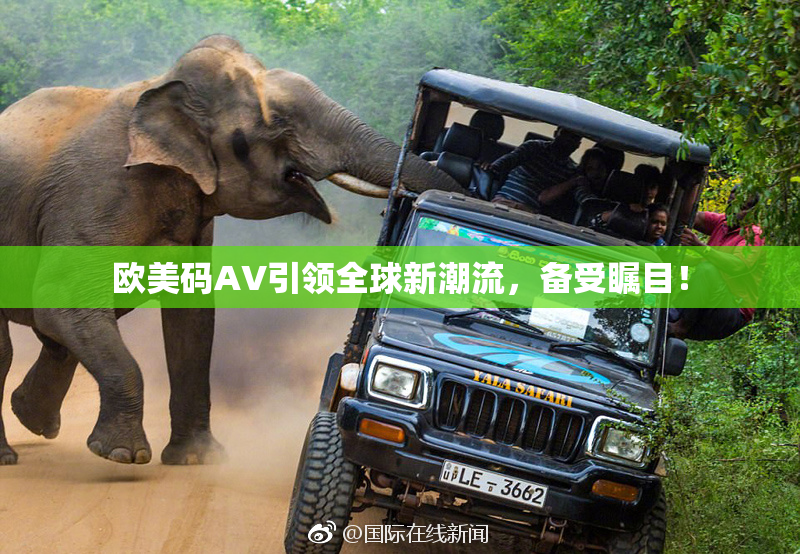 欧美码AV引领全球新潮流，备受瞩目！