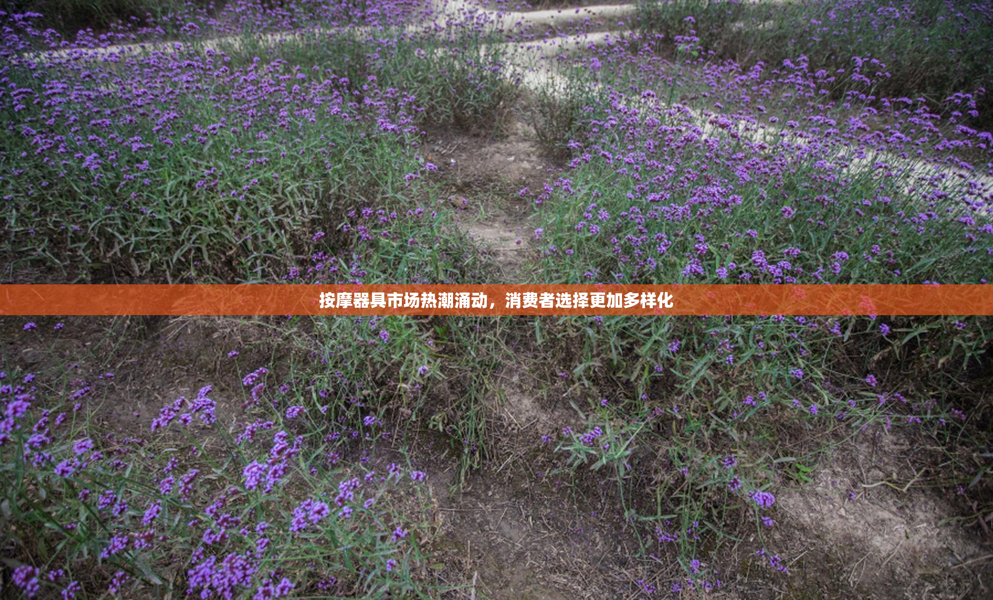 按摩器具市场热潮涌动，消费者选择更加多样化