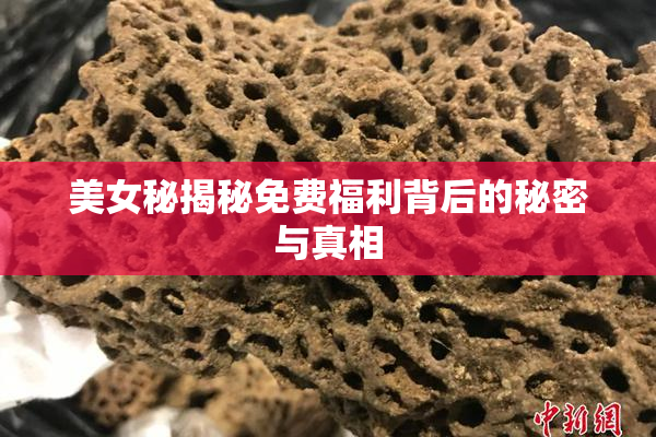 美女秘揭秘免费福利背后的秘密与真相