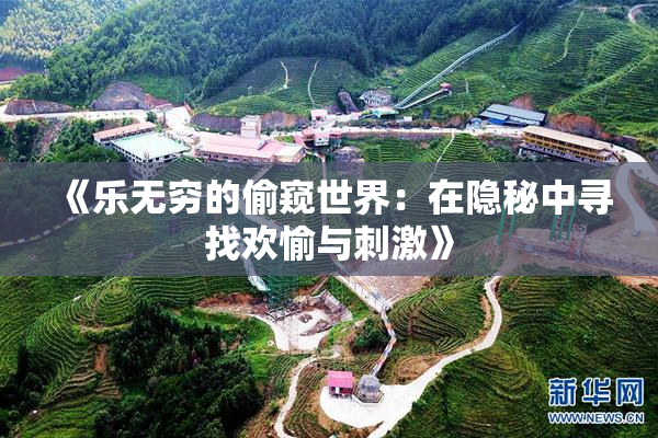 《乐无穷的偷窥世界：在隐秘中寻找欢愉与刺激》