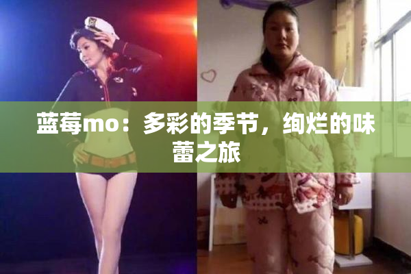 蓝莓mo：多彩的季节，绚烂的味蕾之旅