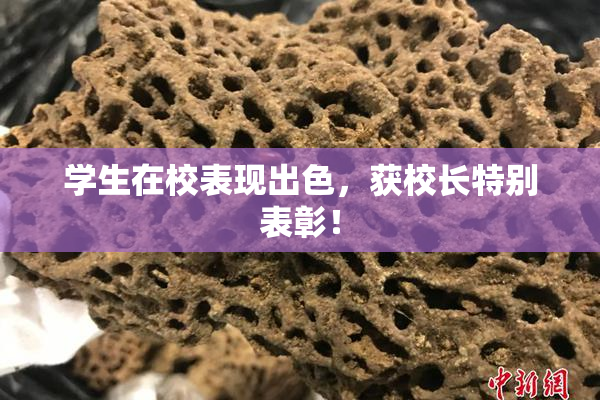 学生在校表现出色，获校长特别表彰！