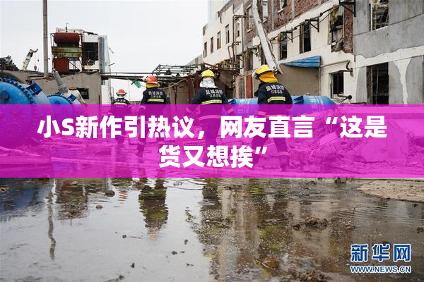 小S新作引热议，网友直言“这是货又想挨”
